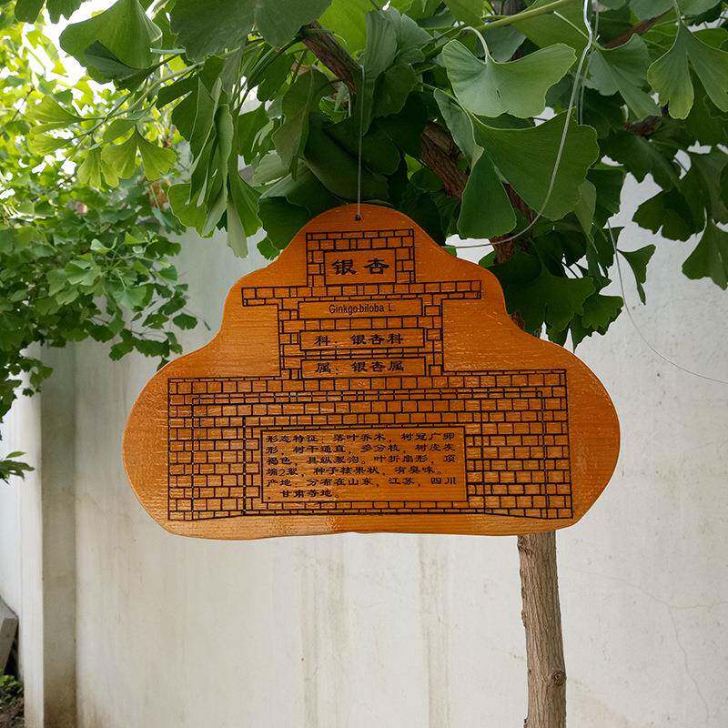 实木植物挂牌定制植物绿化标志识树牌实木介绍广告牌