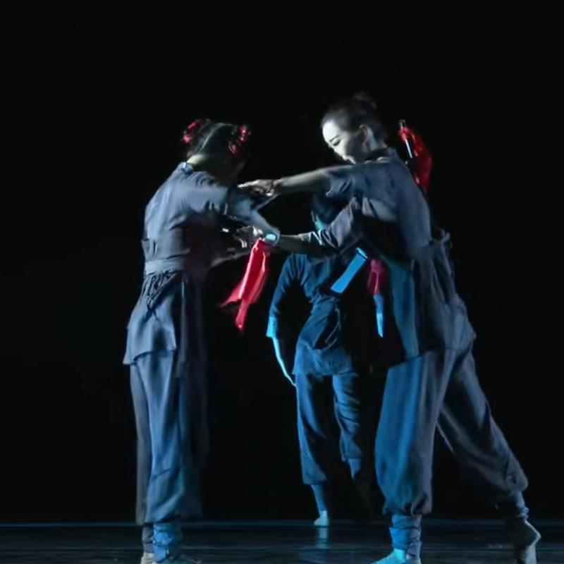 新那一年的血雨腥命风舞蹈装服舞演出服经典红群色革表演服装