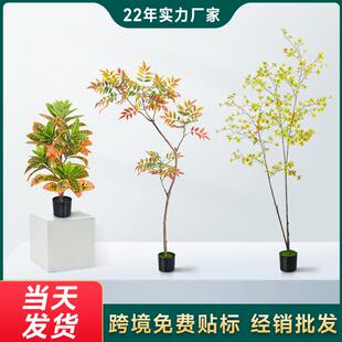 跨境绿植仿真客厅散尾葵蓝花楹旅人蕉假绿植造景橄榄树盆栽