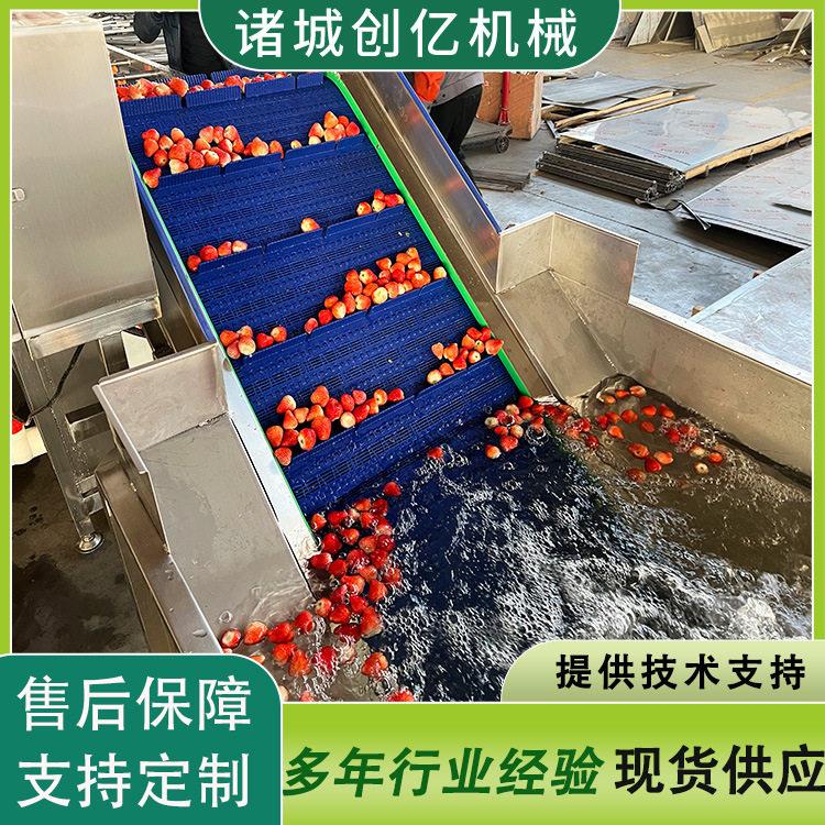 草莓清洗机百香果清洗设备车厘子清洗风干生产线机械