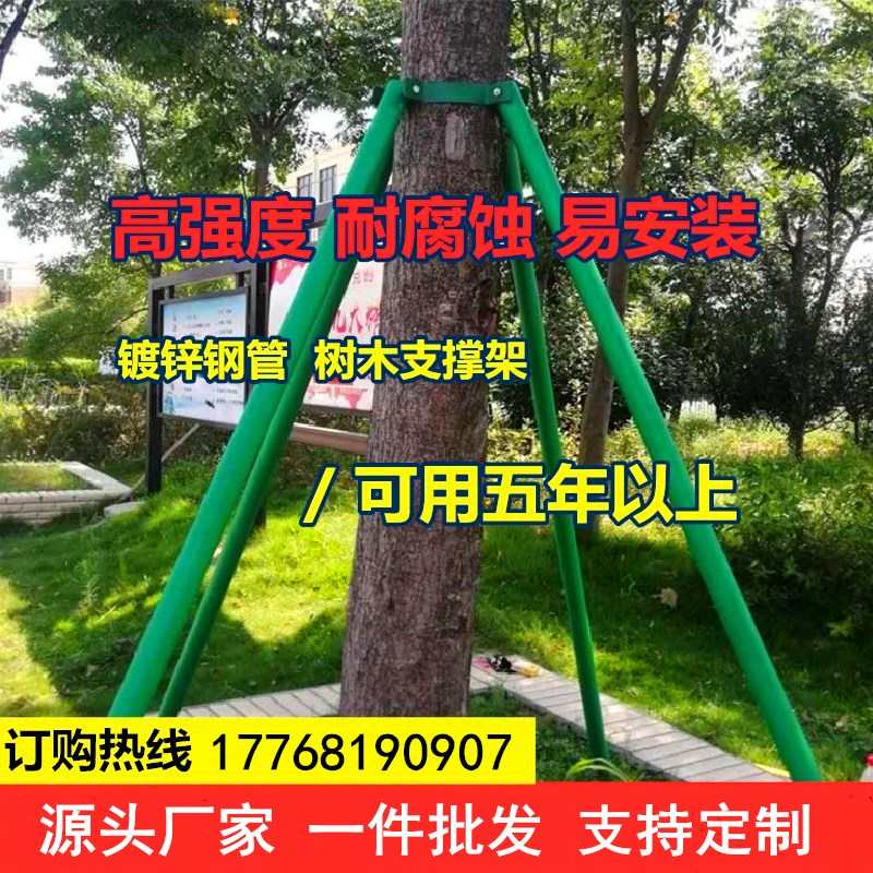 树木支撑架树木支撑杆镀锌钢管支架固定器大树防风固定支架