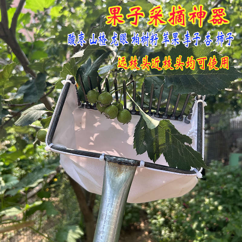 2024新款多功能摘酸枣神器野果柏籽龙眼山枣采摘工具高枝摘果神器