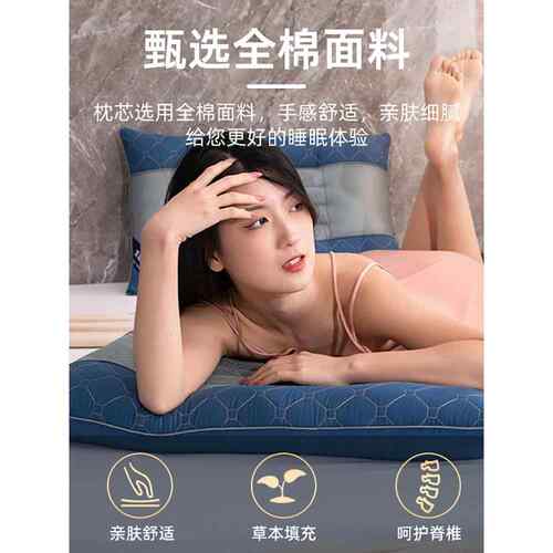 新款直销A6L乳胶决明子枕芯枕头护颈椎助睡眠家用一对男女整头宿