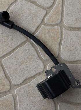 IgnitionBG45BG46BG50BG55BG65BG85SH55SH85高压包点火器