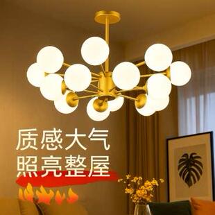北欧现代简约风格 饭厅卧室家用大气客厅灯具 简欧魔豆吊灯创意个性