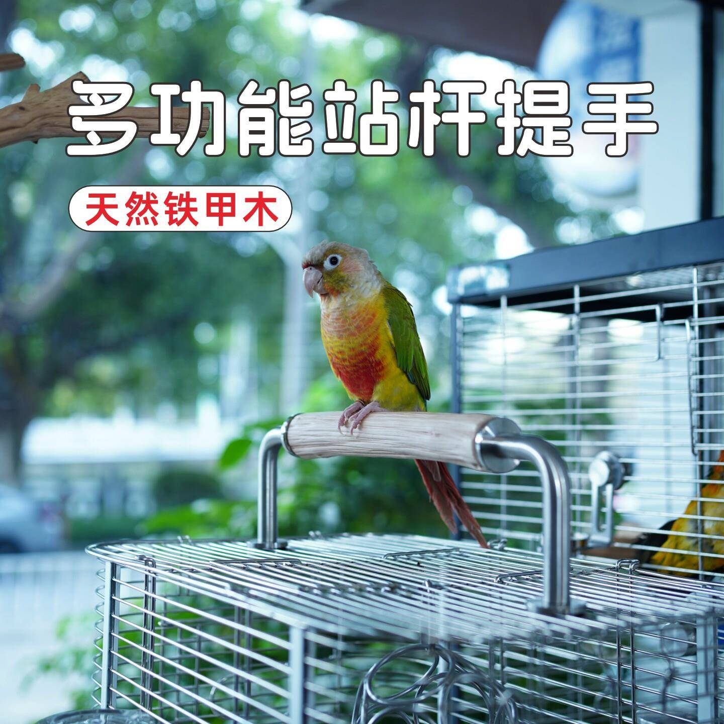 外出笼提手鹦鹉站杆铁甲木鸟用站棍实木鸟笼配件栖杆企棍玄风牡丹