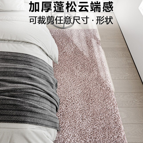 Rsemnia2024新款地毯卧室床边毯少女简约房间卧室毯加厚飘窗地垫