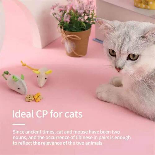 Cat Toy Plush Herbal Mouse Cute Modeling Kitten Toy Universa