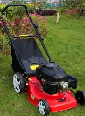 新油AL-65541款自走式草草坪割草机汽马力坪修剪机大园林绿化植保