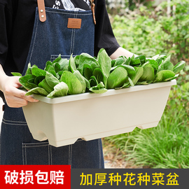 种菜盆家庭阳台种菜神器长方形，花盆塑料蔬菜草莓盆栽专用盆种植箱
