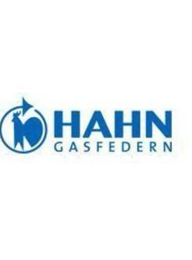 德国Hahn-Gasfedern气弹簧F06-19型号支撑杆后备箱