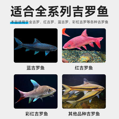 海豚吉罗鱼专用饲料鱼食蓝吉罗金红吉罗鱼颗粒增艳诱色缓沉型鱼粮