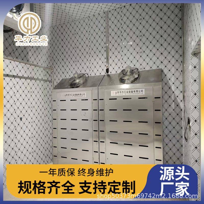 巴西牛肉低温高湿解冻机大型猪肉解冻设备冷冻食品缓化库解冻库