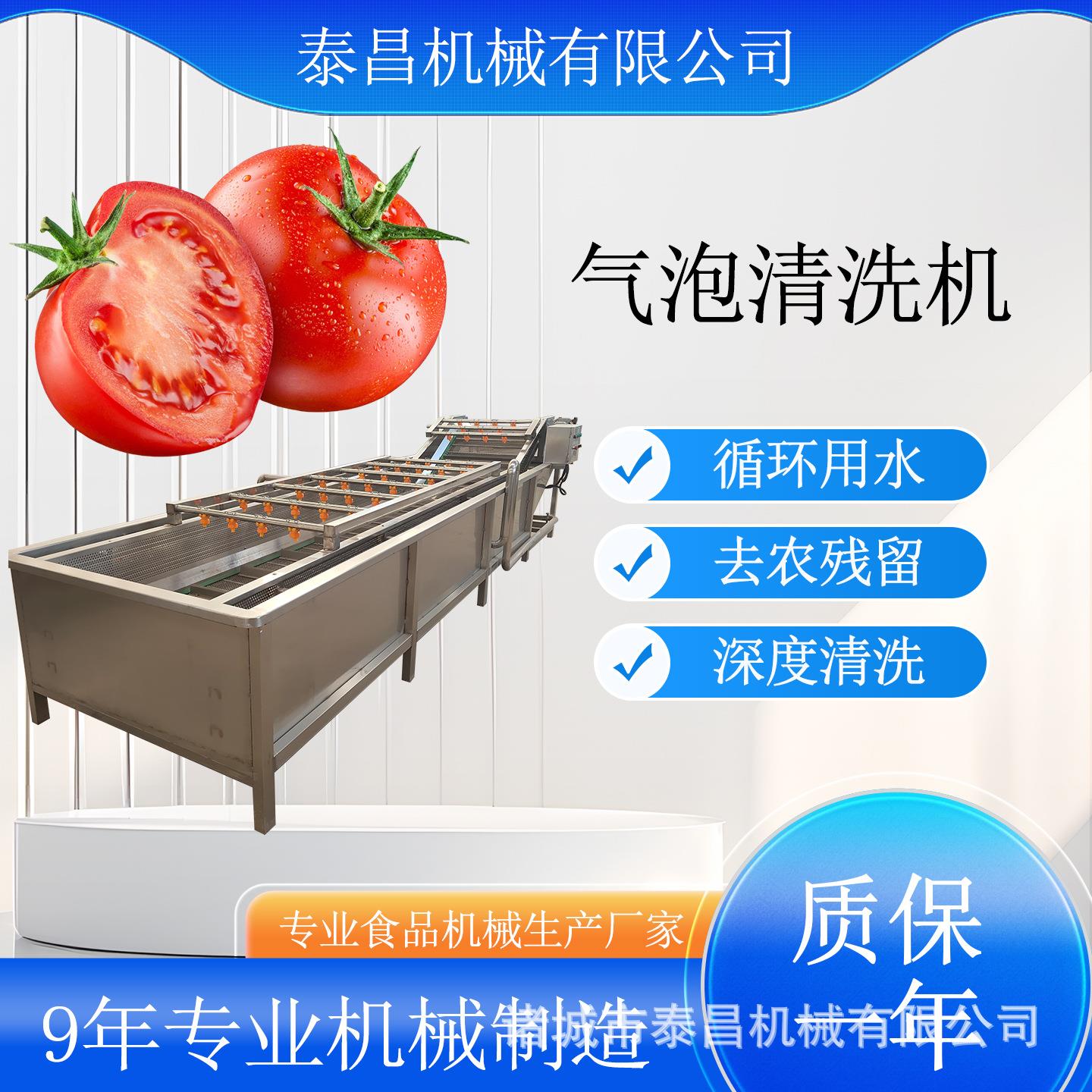 枇杷气泡清洗机豇豆清洗漂烫机奇异果清洗设备酱腌菜清洗脱盐机