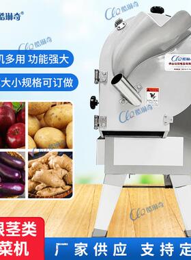 l南瓜黄瓜切丝机番茄切片机多功能自动不锈钢大头菜切丁切粒机