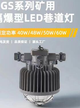 矿用隔爆型LED巷道灯DGS10/127L(A)支架灯DGS15/127L(A)泛光灯