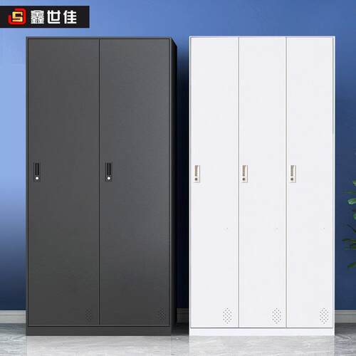 鑫世佳二门更衣柜铁皮柜收纳柜带锁办公室换衣柜员工宿舍铁皮衣柜