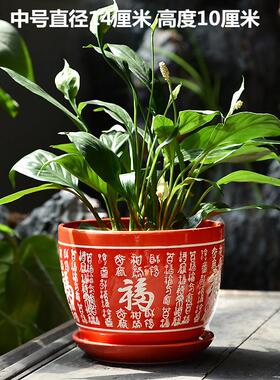 TEMU厂家陶瓷花盆花盆花盆花瓶