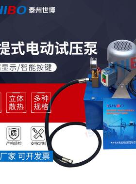 手提式电动试压泵DSB-2.5A打压机测试泵试压机打压泵
