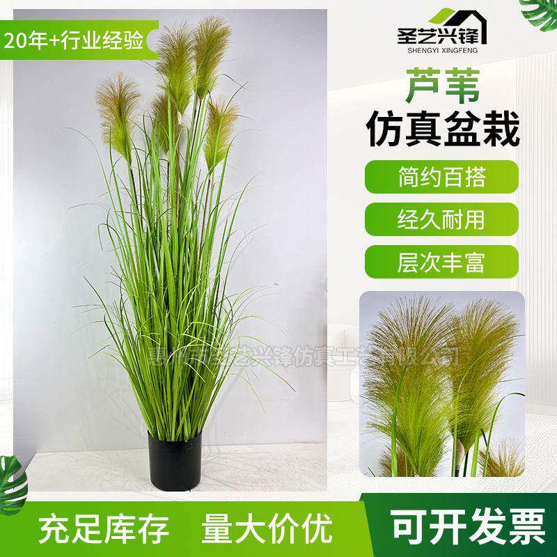 仿真叶芦苇人造洋葱草假草绿植5头绿色芦苇草仿真花落地植物盆栽