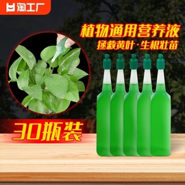 植物营养液通用型盆栽发财树富贵竹绿萝水培花卉绿植养花肥料发酵