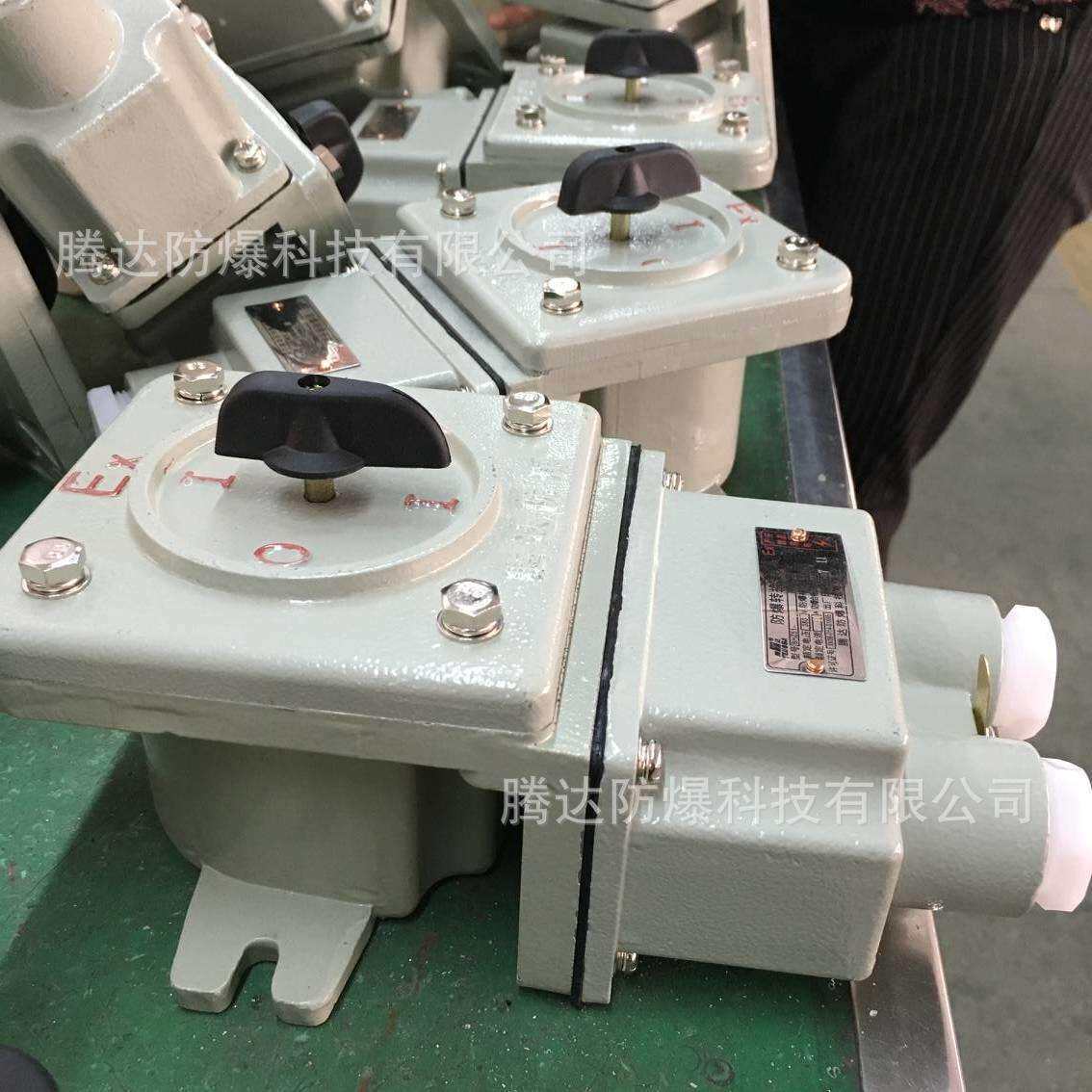 石化bhz51系列防爆转换开关 10a 25a电器控制开关厂家