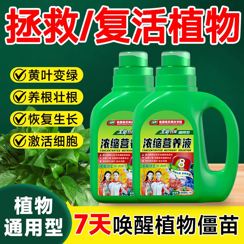 植界植物营养液通用型盆栽花肥料水培绿萝发财树富贵竹花卉多肉肥