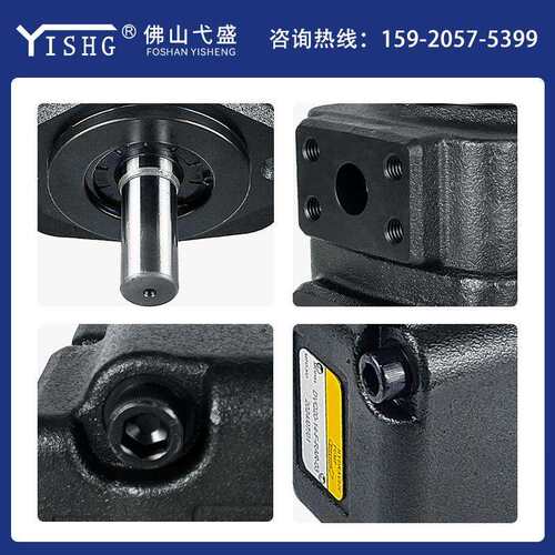 高压叶片油泵DVQ20-06 08 11 14 17 23 26 32 34 38 44-F-RAA-01