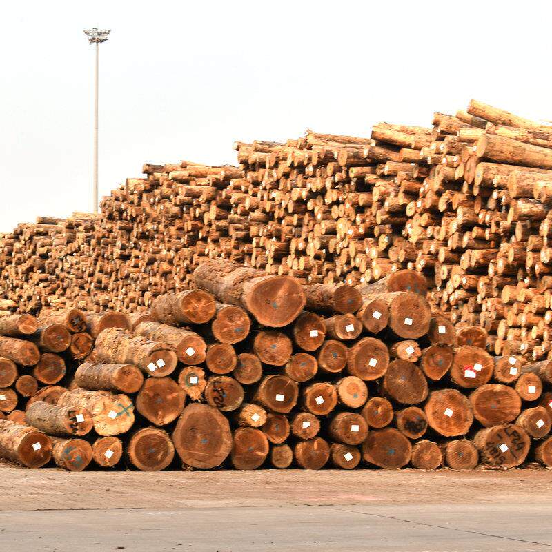 花旗松铁杉云杉原木古建筑材圆柱材可车圆防腐处理防腐木实木方