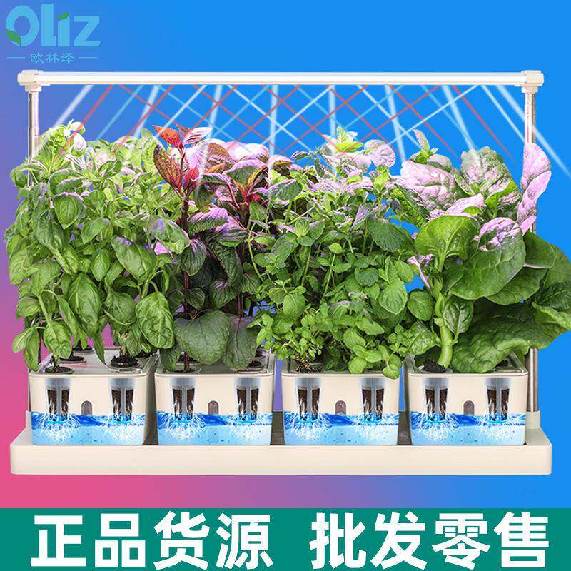 智能水培蔬菜种植机生长灯升降种植箱无土培植系统现货爆款育苗机