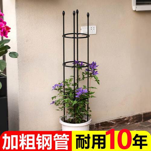阳台铁艺爬藤花架月季铁线莲花盆支架园艺支柱室外攀爬植物支撑杆