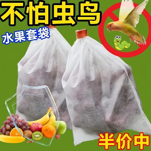 水果套袋防鸟无瓜果防虫袋枇杷桃