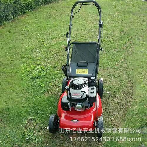 汽油开荒打草除草机 二冲程大功率割草机 果园茶园松土锄地机