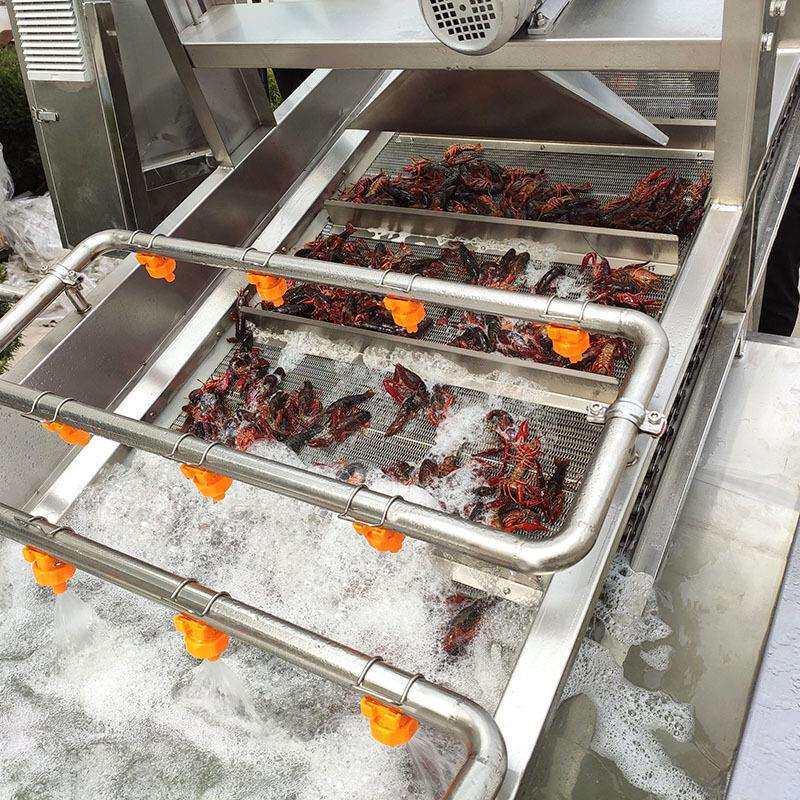 全自动毛豆清洗机 海鲜清洗设备 商用大型小龙虾流水线海参去杂机