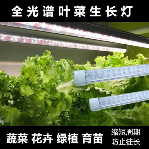 叶菜植物补光灯t8一体化全光谱植物生长灯管蔬菜花卉多肉仿太阳光