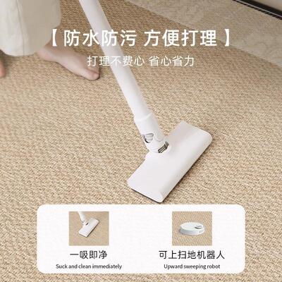 地室毯客厅卧轻新床边免洗可擦房间高级款qr220801感免打理奢沙发