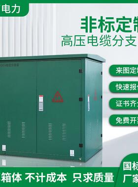 10kv环网柜户外高压箱式开闭所DFW-12电缆分支箱SF6全绝缘充气柜