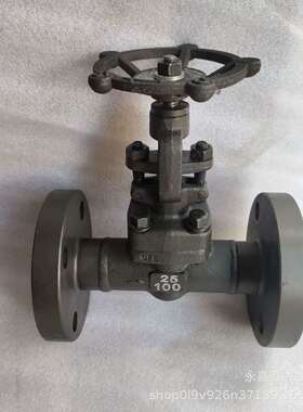 厂家销售手动高温高压锻钢闸阀截止阀J41Y-100C-DN25