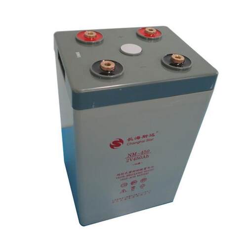 长海斯达蓄电池GFM-2002V200AH电厂发电机房储能纸箱非进口