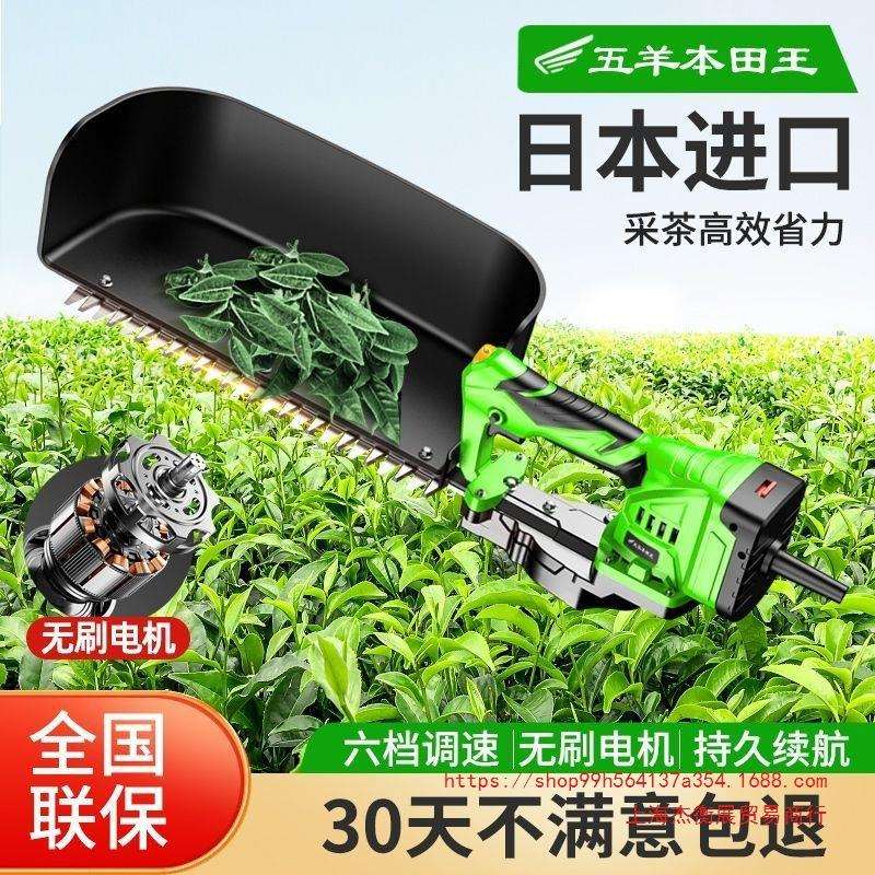 上海进口电动采茶机新款充电式园林修剪绿篱机小型单人家用锂电
