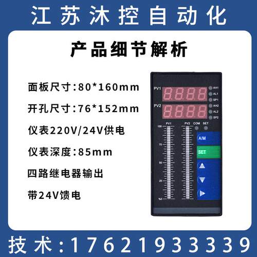 TS823能智双通道输入显示控制光柱测控仪双温度压力液显位示