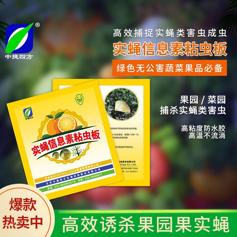 中捷四方瓜果实蝇粘胶板诱粘剂针锋诱粘贴果蝇柑橘诱杀桔小实蝇