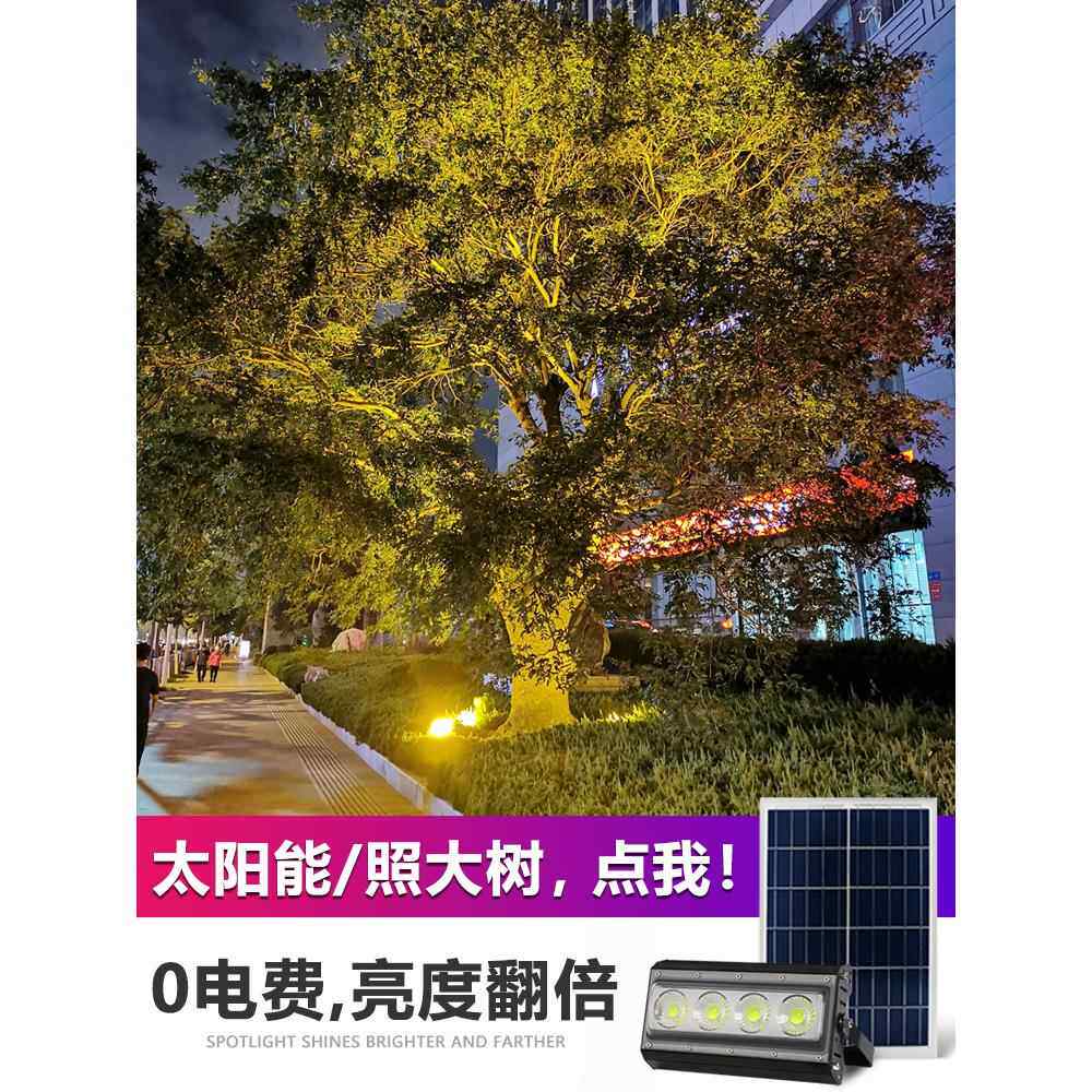 太阳能照树灯景观射灯户外射树灯防水庭院灯室外草坪投光灯插地灯