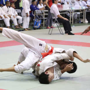 三鸿PE发泡+压缩海绵柔道垫 比赛训练拼接地垫加厚体操垫运动垫子