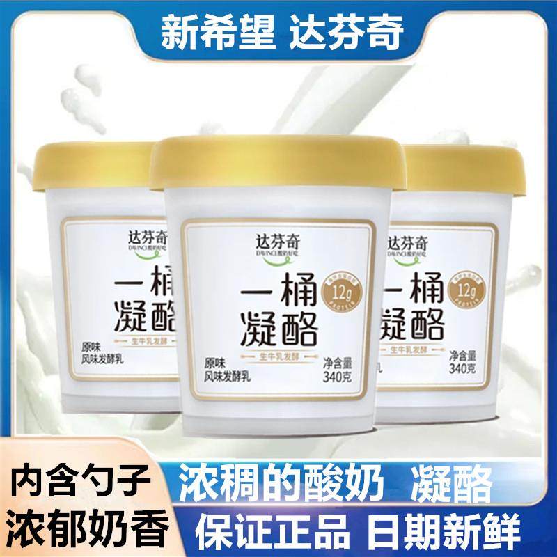 新希望一桶凝酪酸奶340g*6桶益生菌发酵乳营养早餐达芬奇零食酸奶