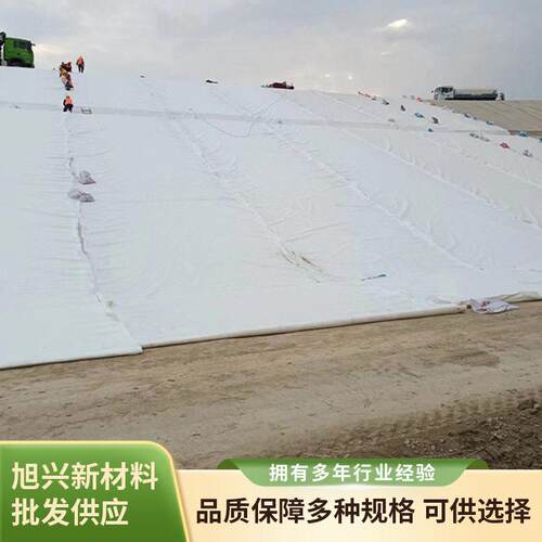 水库复合土工膜蓄水池水渠河道治理复合长丝复合膜价格厂家供应