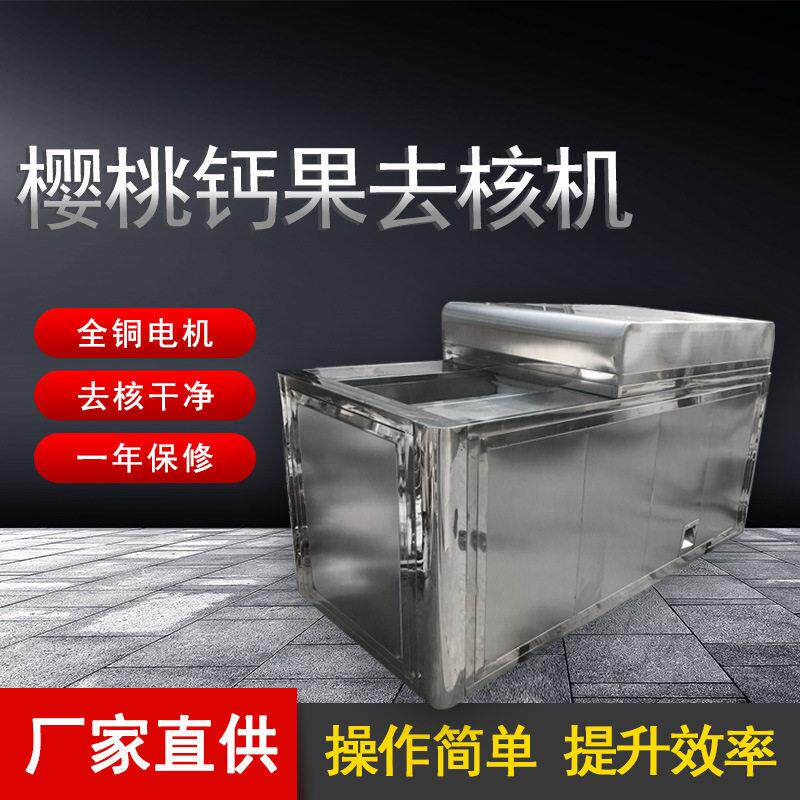 全自动樱桃钙果去核机型号全小樱桃去核设备