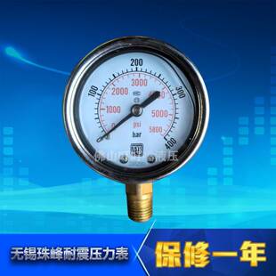 100 ZFYB无锡珠峰甘油抗耐震压力表YN60I 250 600 400bar径向 160