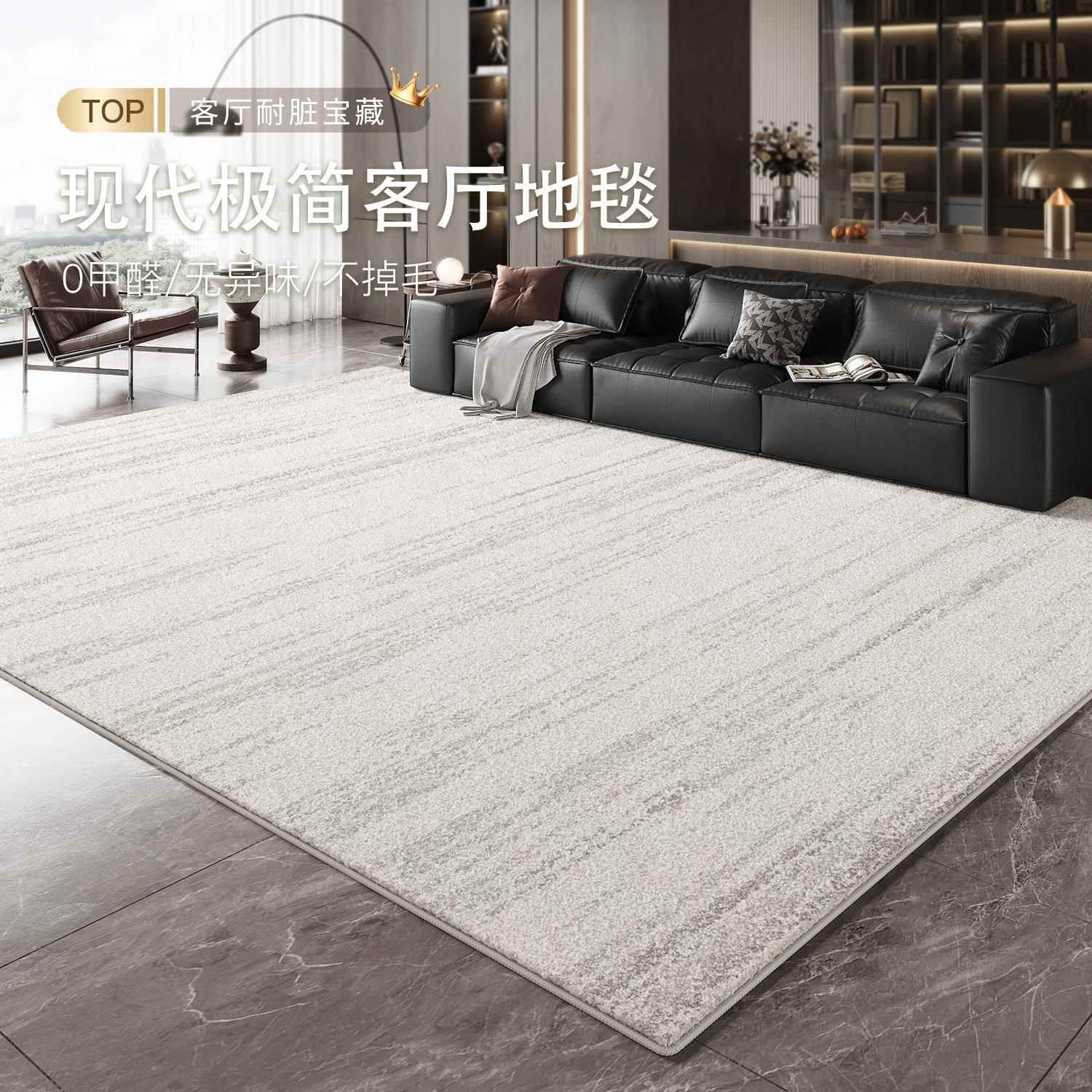 地毯客厅2025新款现代极简风卧室轻奢高级感沙发免洗可擦房间地垫