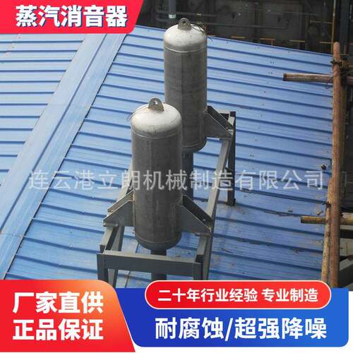 立朗销售 蒸汽放空消音器 蒸汽锅炉排放消声器法兰DN25 40 50 65